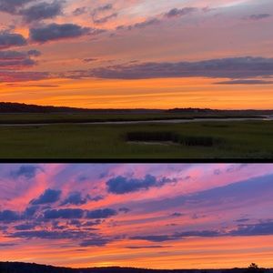 Meet your Posher, Bridget